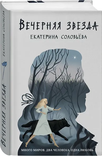 Вечерняя звезда - фото 3