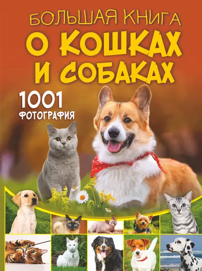 Большая книга о кошках и собаках. 1001 фотография - фото 1