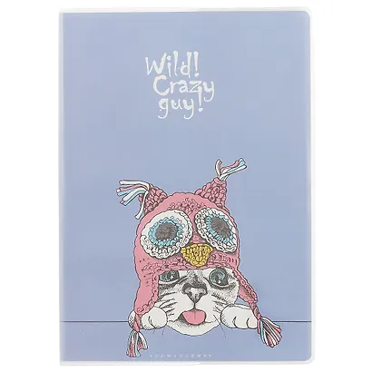 Тетрадь в линейку AnAn, Crazy guy, А5, 60 листов, в ассортименте - фото 3