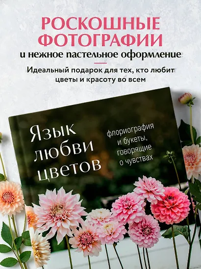Язык любви цветов: флориография и букеты, говорящие о чувствах - фото 8