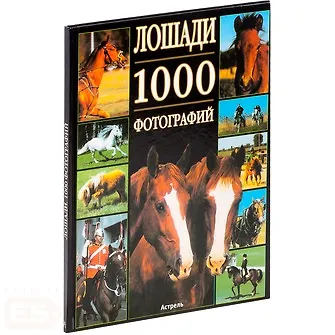 Лошади.1000 фотографий - фото 2