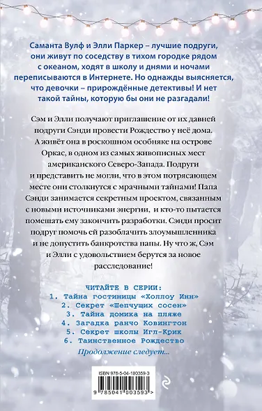 Таинственное Рождество (#6) - фото 2