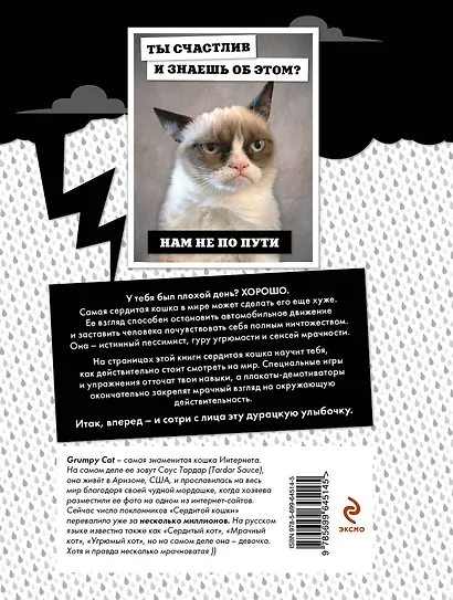Grumpy Cat. Сердитая книга от самой сердитой кошки в мире - фото 2