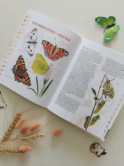 Животные в городе. Где найти и как узнать - фото 13