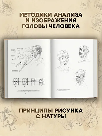 Голова человека: Основы учебного академического рисунка: Учебное издание - фото 5