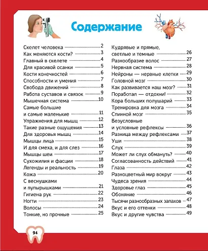 Тело человека - фото 6
