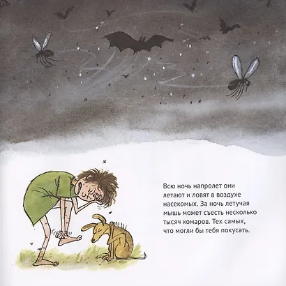 Удивительные летучие мыши - фото 3