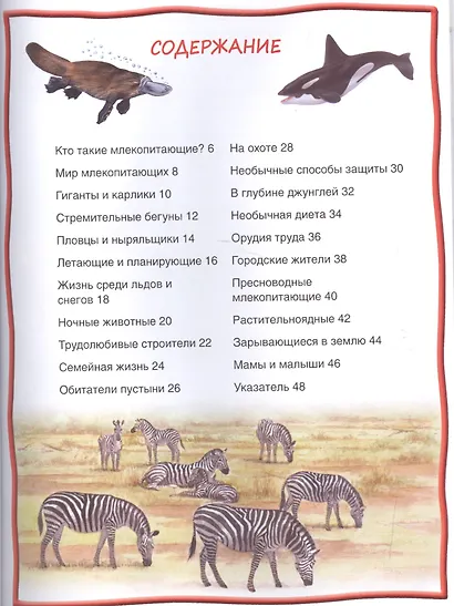 Млекопитающие - фото 2