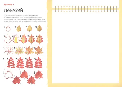 Школа Семи Гномов. Мастерская. Рисуем красками 6+ - фото 2