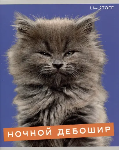 Тетрадь А5 96л кл. "Характер котика" скрепка, мелов.картон, глянц.ламинация, термопленка, офсет, 5 видов - фото 6
