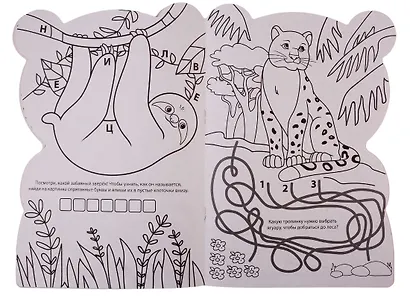 Панда - фото 5