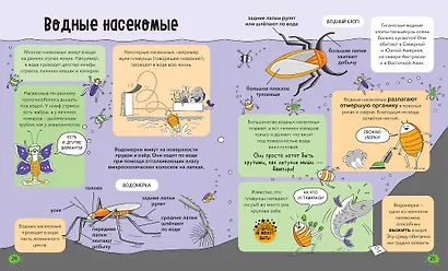 Насекомые и не только. От шмелей до навозных жуков: все ползуче-летучие факты, рекорды и достижения - фото 6