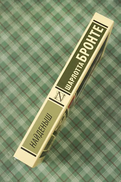 Найденыш - фото 6