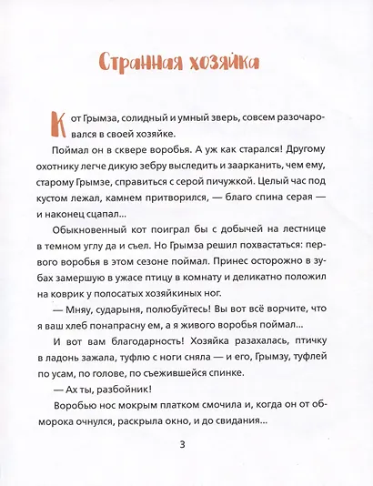 Кот на велосипеде - фото 4