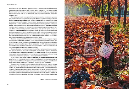 Мой Узбекистан - фото 3