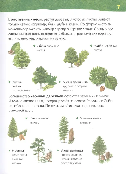 Энциклопедия для детского сада: животные птицы растения - фото 4