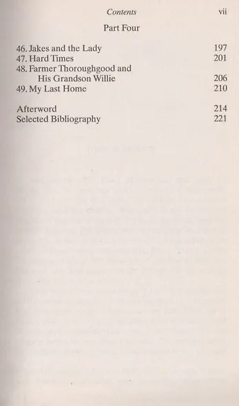 BLACK BEAUTY - фото 4