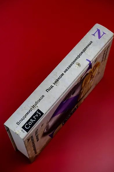 Под знаком незаконнорожденных - фото 7