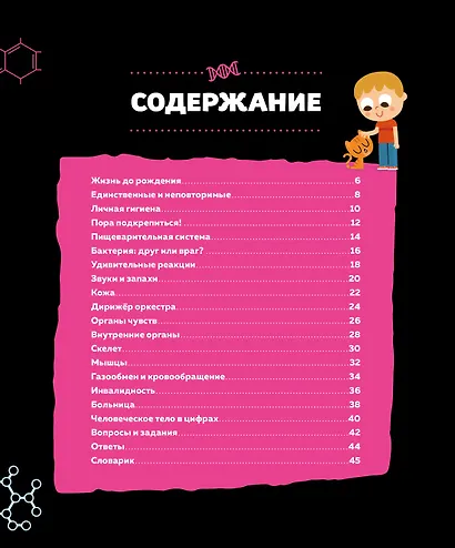 Тело человека - фото 2