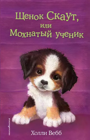 Щенок Скаут, или Мохнатый ученик (выпуск 38) - фото 1