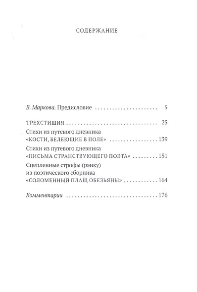 Письма странствующего поэта - фото 2