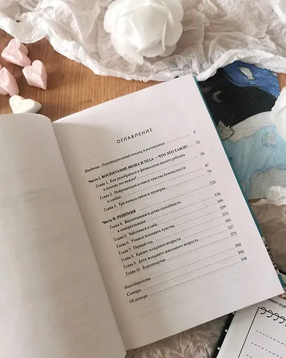 Чего хочет мой ребенок. Нейропсихология о том, как понять потребности своих детей и построить гармоничные отношения - фото 8