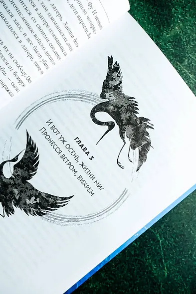 Девять царств: Госпожа Жемчужина - фото 13