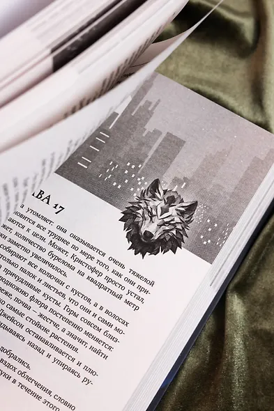 Потерянные крылья - фото 14