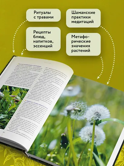 Шаманское травничество. Сила растений. Рецепты наших предков - фото 5