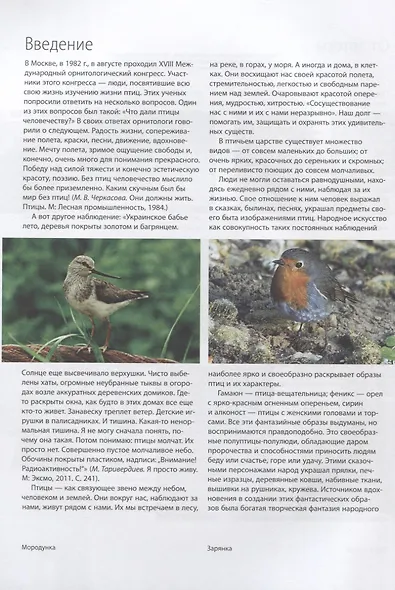 Изображение птицы в  декоративно-прикладном  искусстве. Трансформация - фото 3