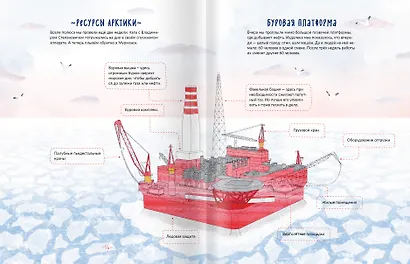 Каникулы на ледоколе - фото 6
