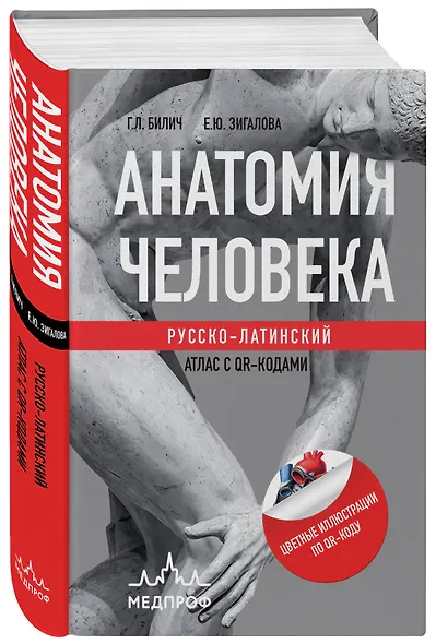 Анатомия человека: Русско-латинский атлас с QR-кодами на цветные изображения - фото 3