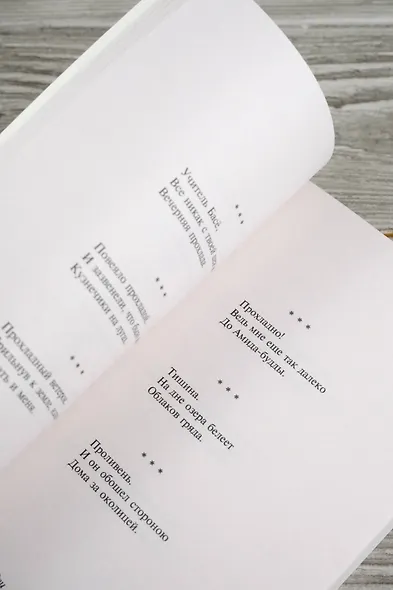 Улитка на склоне Фудзи - фото 9