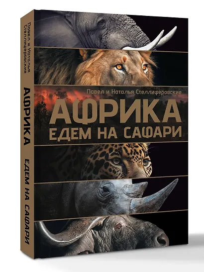 Африка. Едем на сафари - фото 3