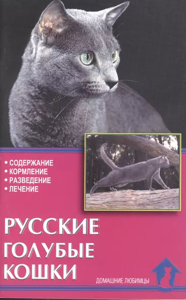 Русские голубые кошки. Содержание. Кормление. Разведение. Лечение - фото 1