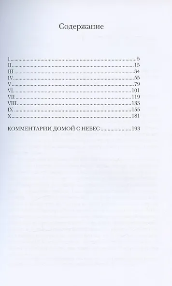 Домой с небес - фото 2