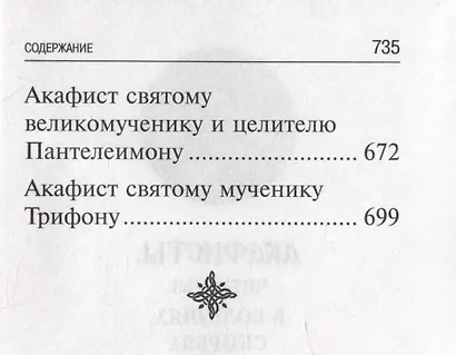 Акафисты, читаемые в болезнях, скорбях и особых нуждах - фото 5