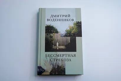 Бессмертная стрекоза - фото 6