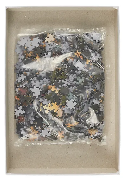 Пазл Дама с кошкой (Lady with a Cat), 1000 деталей. 68,3х48 см. - фото 2