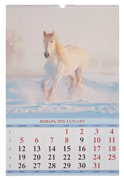 Календарь 2026г 320*480 "Год Лошади. Вид 2" настенный, на спирали - фото 2