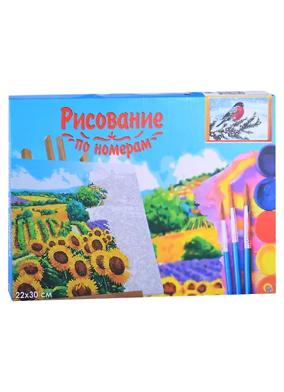 Холст с красками 22х30см по номерам в коробке (14 цв.) Снегирь на снежной ветке Арт. HS642 - фото 2