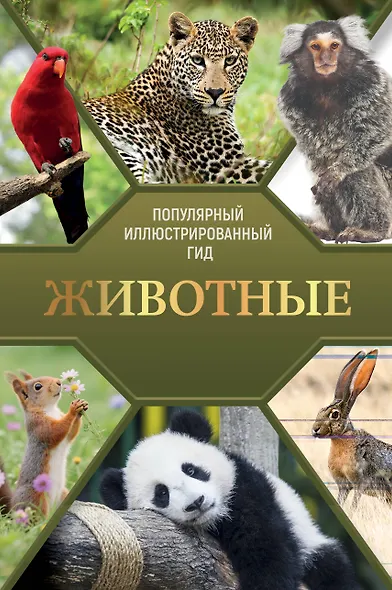 Животные. Популярный иллюстрированный гид - фото 1