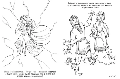 Раскраска № РАС 2204 ("Холодное сердце 2") - фото 2