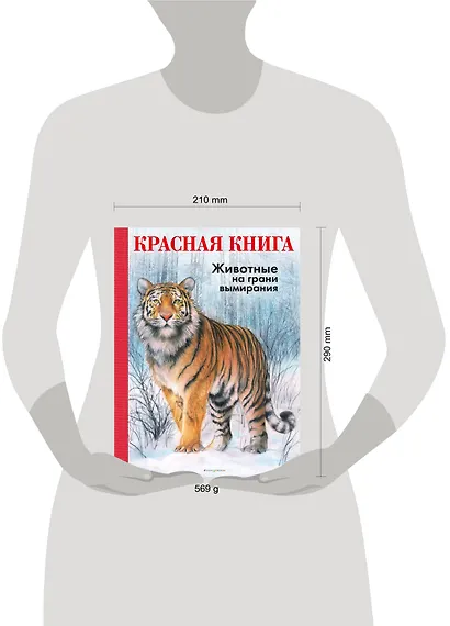 КРАСНАЯ КНИГА. Животные на грани вымирания - фото 11