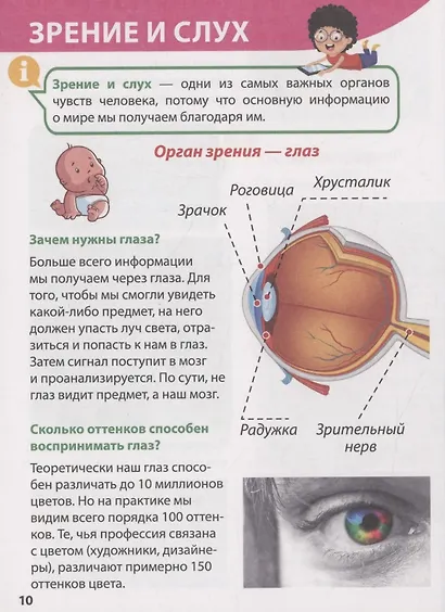 ЭНЦИКЛОПЕДИЯ ДЛЯ МАЛЕНЬКИХ ПОЧЕМУЧЕК. Тело человека - фото 8