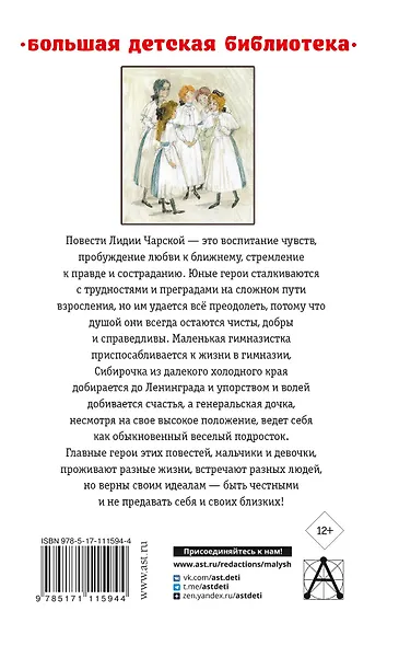 Записки маленькой гимназистки. Повести - фото 2