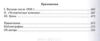 Жизнь Бальзака - фото 3