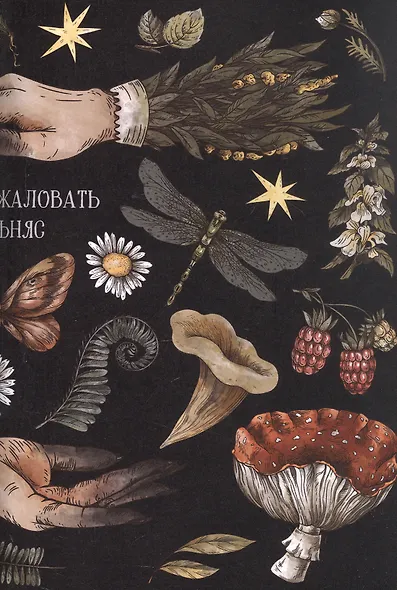 Я у мамы зельевар. Держись, столица! - фото 4