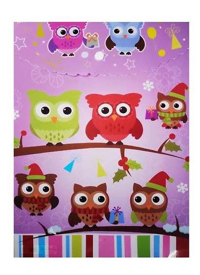 Папка -конверт «Совы. Owls» А4 на кнопке, вертикальная - фото 2