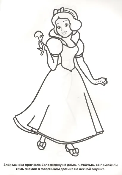 Принцессы. Прозрачные страницы. - фото 5